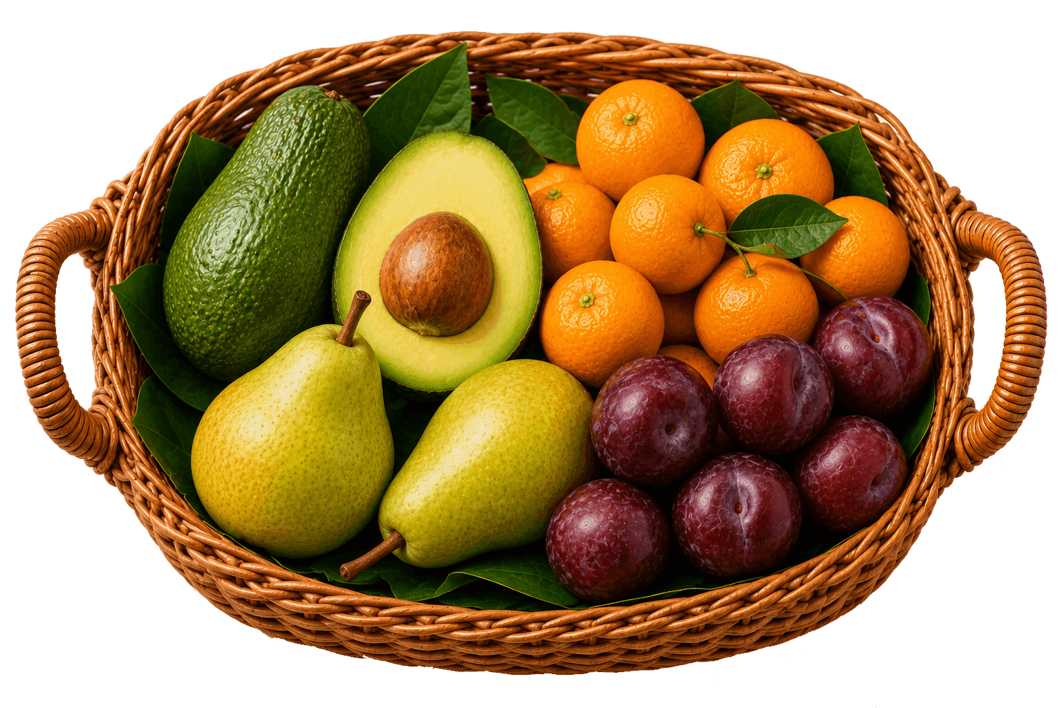 Tokary Fruit Bowl