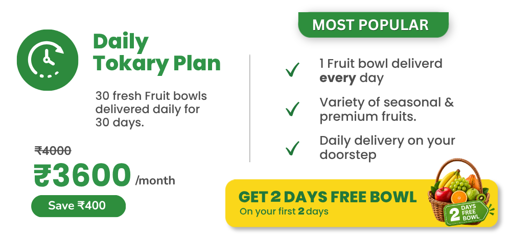 Daily Tokary Plan